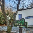 자연1호 | 청주옥화자연휴양림 편백나무1호 후기