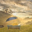 더 자라다 이미지