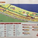 영산강서창들녘억새길 이미지