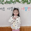 ❤️2024학년도 네덜란드반을 소개합니다💙 이미지