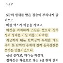 진짜 캐릭터 개.좋음 ㅆㅂ 이미지