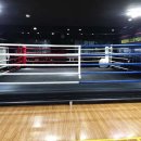 WS복싱클럽 이미지