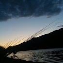 오늘은 장어 이미지