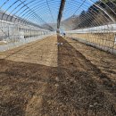 통골농장 이미지