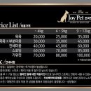 애견미용샵 조이 이미지