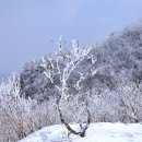 임하초등학교 이미지