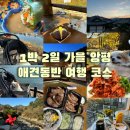 양평 애견동반 1박 2일 여행 코스