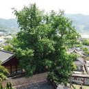 순천 낙안읍성 탐방
