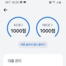 신용점수1000점 이미지