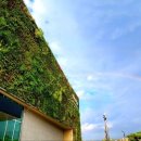 노래하는 땅 이미지