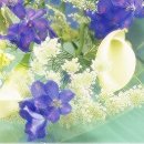 행복자리 이미지