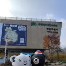 금강가든 | 국립백두대간수목원 호랑이숲 +트램 탑승 + 캐릭터 백두랑이 + 가든샵 방문 후기