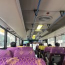 상수리나무아래 호스텔 | 휴가 맞이 제주도 뚜벅이 여행 일기! 미도호스텔 올레시장 짱구분식 후기 😎