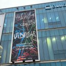 서정약국 | 뒷북을 누가 치냐 저요…🙌(이승윤 중콘 후기)