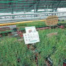 칠보농협하나로마트 이미지