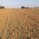 이레알찬정형외과의원 이미지