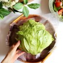 법이네 야채가게 이미지