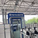이랴 | 🚗과천 경마장 초심자 후기 | 다 잃고 왔지만 또 가고 싶어