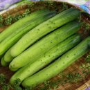 중부농산 이미지