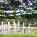 늘푸른마트 이미지