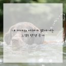 인생플란트치과의원 이미지