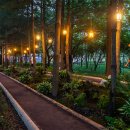 Re:BODY 헬스 365 이미지