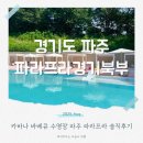 북부 수영장 | 파주 파라프라 경기북부점 바베큐수영장 아이와 후기