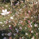 항촌소공원 이미지