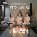 [경주 숙소] 내돈내산 경주 감성 자쿠지 숙소 “소여정” 솔직 후기