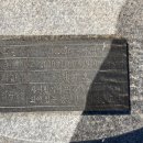 ICON-생명 이미지