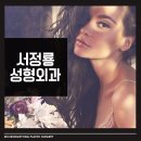 서정룡성형외과 네이버블로그