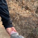 운제산등산로 화장실 | [포항 오천 운제산] 등린이 추천 최단거리 등산코스