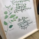 [시민] 캘리그라피 이미지