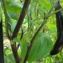 광교타운공인중개사사무소 이미지