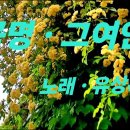 곡명 .그여인 가사 . 노래 . 유상록 이미지