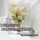 창원 | 창원 예식 부케말리기 후기｜서울 부케말리기 제작 후 다시 창원으로 돌아간 후기