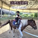 승마장 | [그랜드승마장] 4살 아이 승마체험 후기 파주 승마레슨