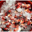 올래민박 이미지