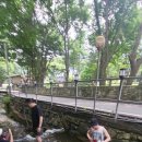 솔내음식당 이미지