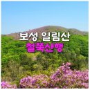 천지산악회 제245차 정기산행 (보성 일림산 철쭉산행) 이미지