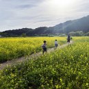 낙동가람 이미지