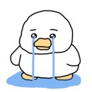 로이메디 이미지