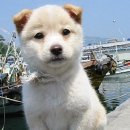 아,귀여워 이미지