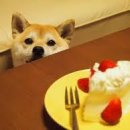 an unoriginal Happy Birthday one🎆🍰 이미지