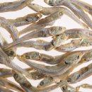 서원동-16 이미지