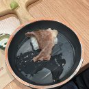 5 | 용인 처인구 이차돌후기: 패밀리세트 5~6인 86,900원 솔직리뷰