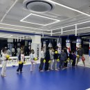 스웻바디라이프mma주짓수킥복싱 이미지