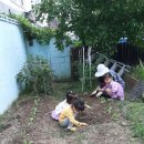 아이들세상어린이집 이미지