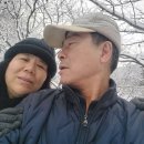 명동산장펜션