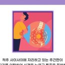 코끼리재활의학과의원